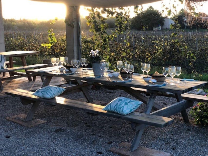 Mallorca: Bodega Butxet Vineyards & Winery Tour with Tasting - Mallorcan tapas make the price work