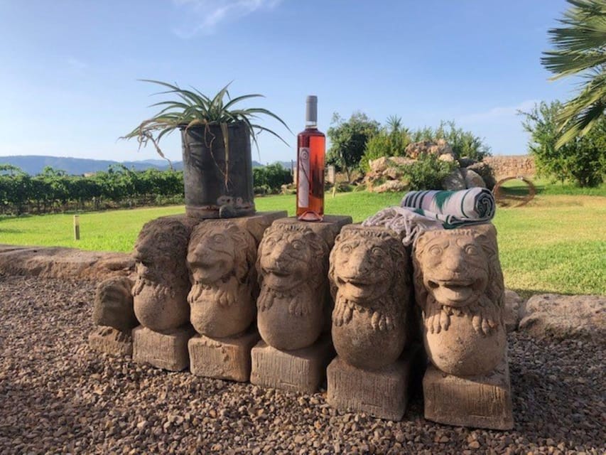 Mallorca: Bodega Butxet Vineyards & Winery Tour with Tasting - Walking the vines near Albufera