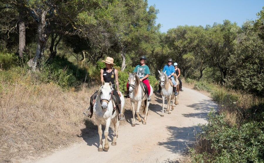 Mallorca: Horseback Riding Excursion and Wine Tasting - Key points to know