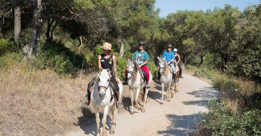 Mallorca: Horseback Riding Excursion and Wine Tasting - A two-part Mallorca outing with real variety
