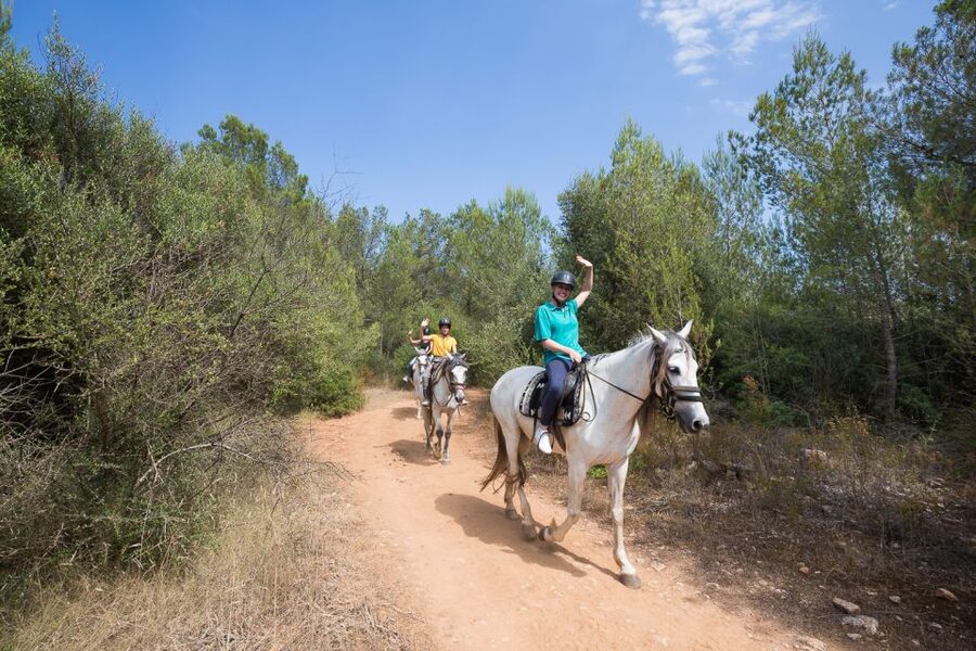 Mallorca: Horseback Riding Excursion and Wine Tasting - The wine and cheese tasting with Miguel