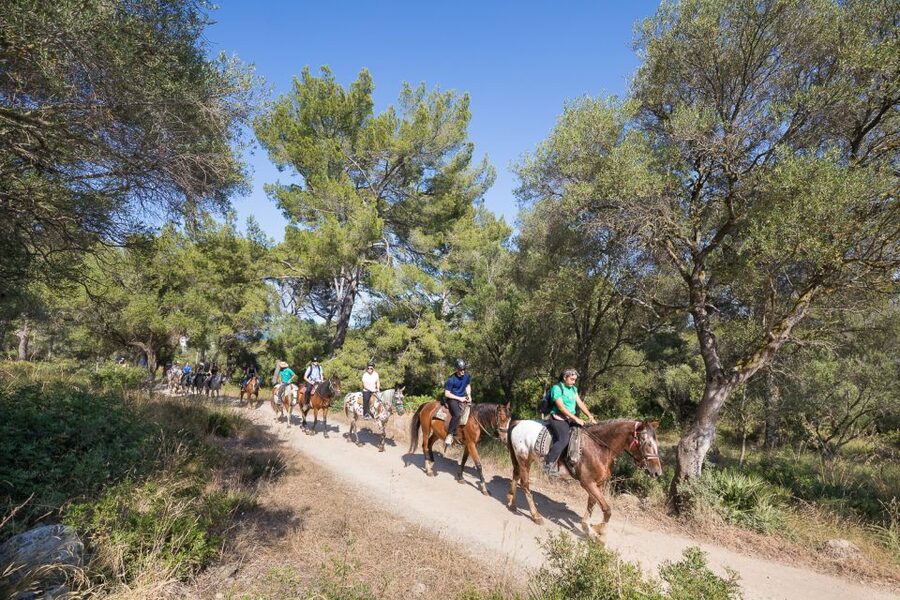 Mallorca: Horseback Riding Excursion and Wine Tasting - How the transport affects the value