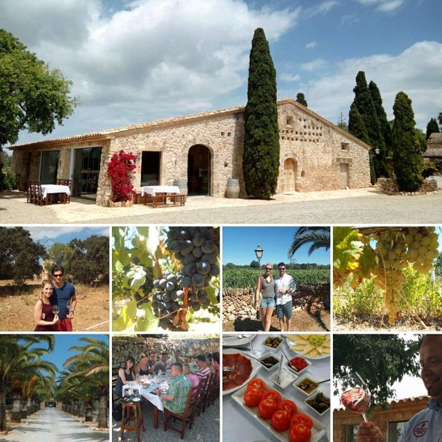 Mallorca: Private Wine Tour with Tasting and Picnic - Tasting Mallorcan wines with tapas