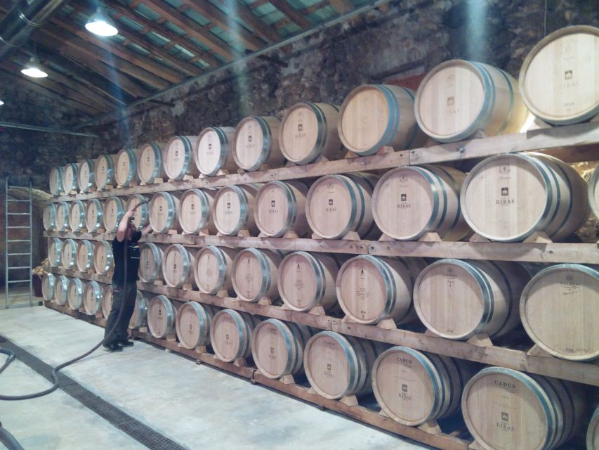 Mallorca: Private Wine Tour with Tasting and Picnic - The value of $210 per person