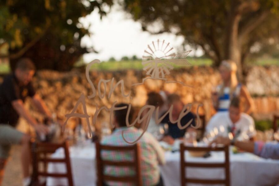 Mallorca: Private Wine Tour with Tasting and Picnic - Who will enjoy this outing most?