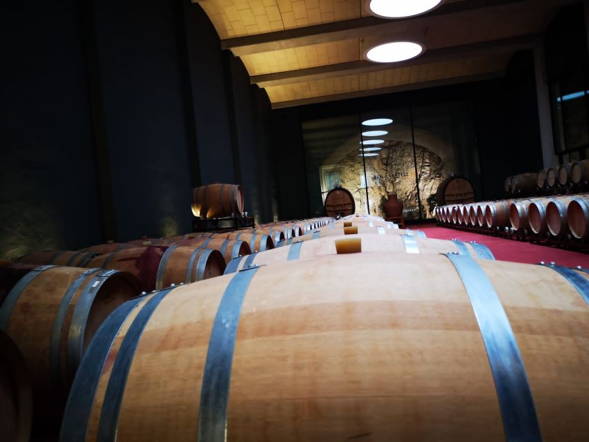 Mallorcas Emblematic Wineries Small Group Tour, two wineries - The half-hour transfer to Binissalem