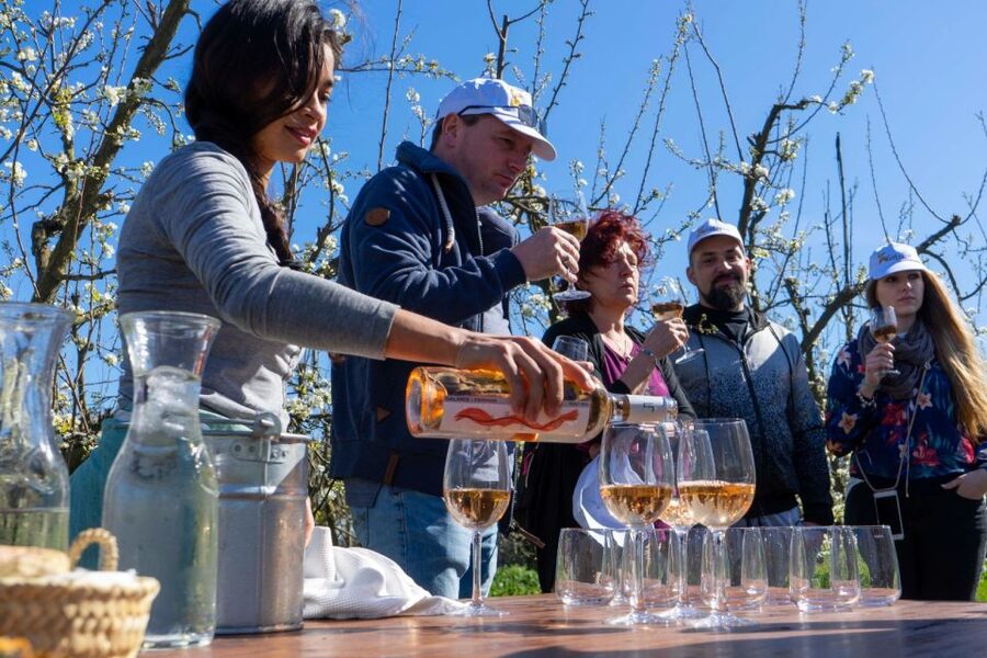 Mallorcas Emblematic Wineries Small Group Tour, two wineries - FAQ