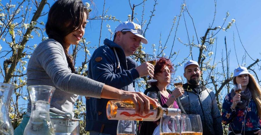 Mallorcas Emblematic Wineries Small Group Tour, two wineries - Santa Maria del Camí: the first taste of local wine
