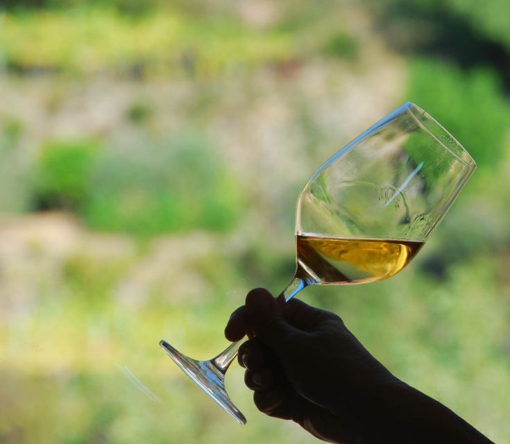 Manarola: Cinque Terre Wine Tasting - Why Cinque Terre wine is worth tasting in Manarola