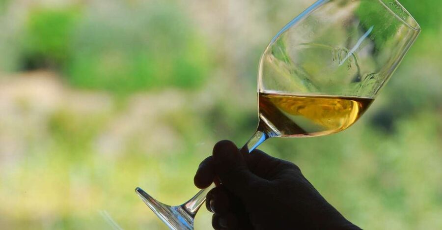 Manarola: Cinque Terre Wine Tasting - The first glass: Cinque Terre white wine