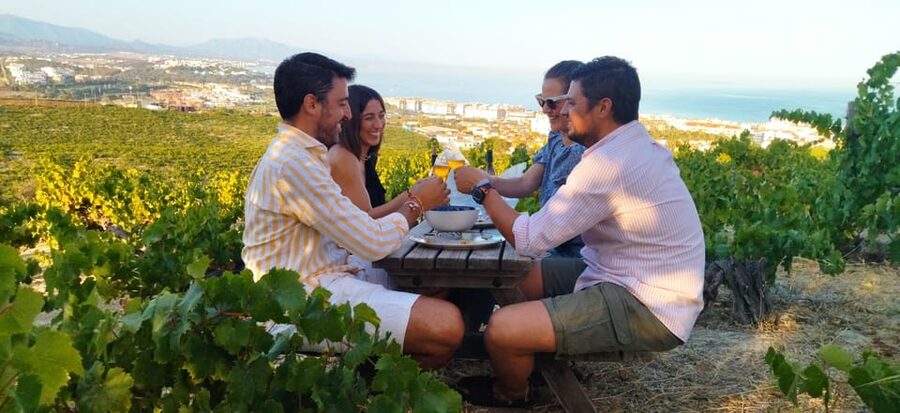 Manilva: Nilva Vineyard, Wine Tasting & Tapas Guided Tour - Why Manilva’s vineyards matter