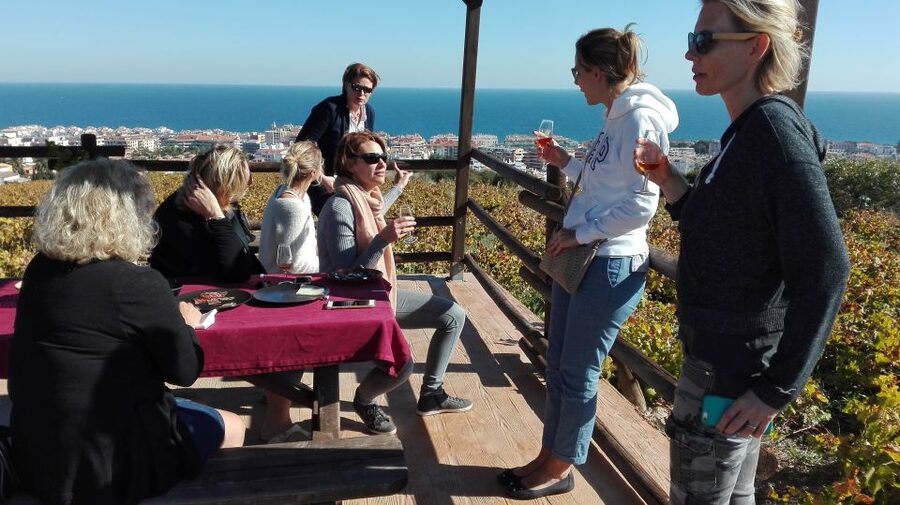 Manilva: Nilva Vineyard, Wine Tasting & Tapas Guided Tour - Getting to the vineyard tasting