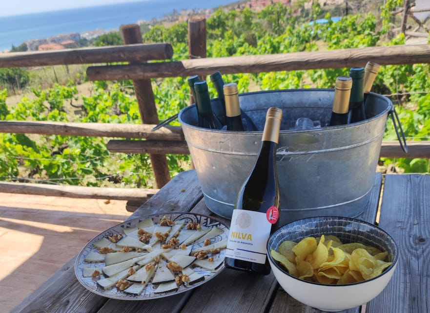 Manilva: Nilva Vineyard, Wine Tasting & Tapas Guided Tour - What the $35 price gets you
