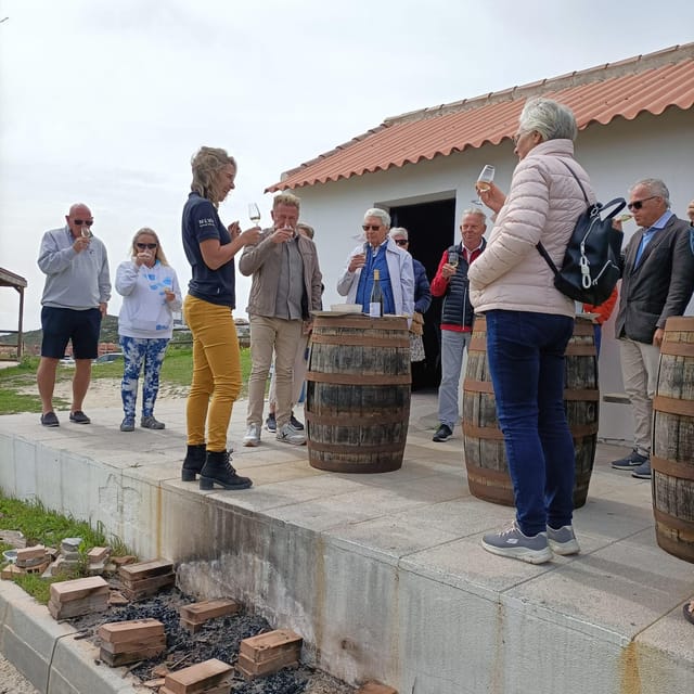 Manilva: Nilva Vineyard, Wine Tasting & Tapas Guided Tour - Should you book the Nilva vineyard tour?