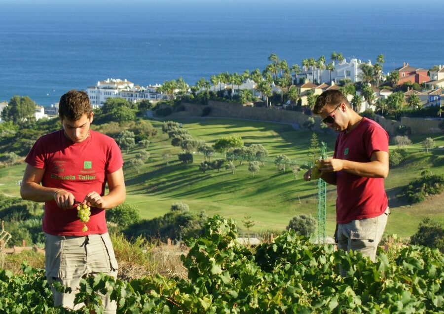 Manilva: Nilva Vineyard, Wine Tasting & Tapas Guided Tour - Inside Nilva’s small artisan winery