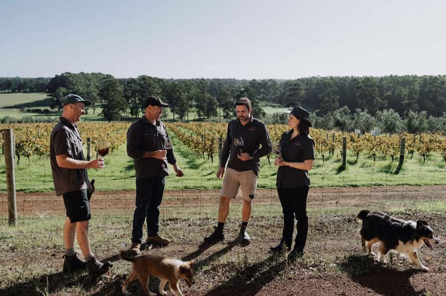 Margaret River: Full-Day Wine Tour - Vasse Virgin adds olive oil and skincare