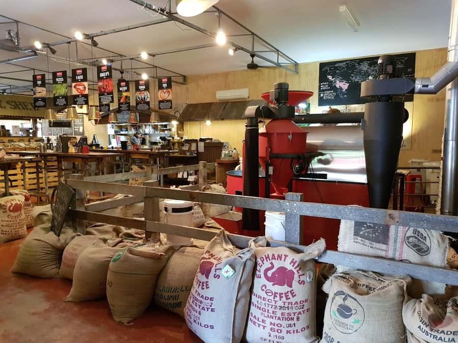 Margaret River: Full-Day Wine Tour - What the guide adds between stops