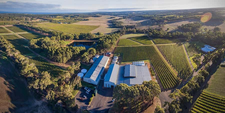 Margaret River: Full-Day Wine Tour - McHenry Hohnen shows a gentler side of winemaking
