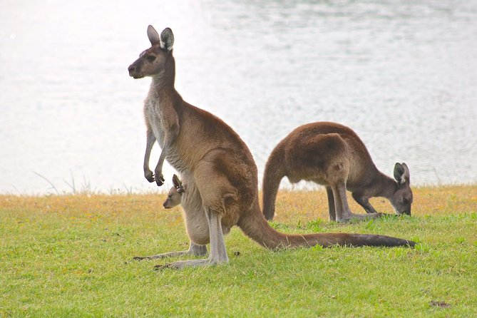 Margaret River Wine and Sights Discovery Tour from Busselton or Dunsborough - What $75 really includes