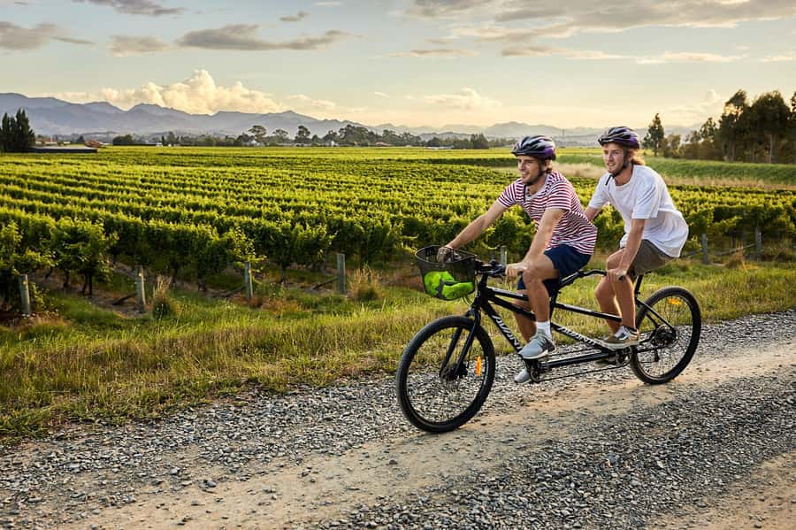 Marlborough: Full-Day Self-Guided Biking Wine Tour - Key points to know before you pedal