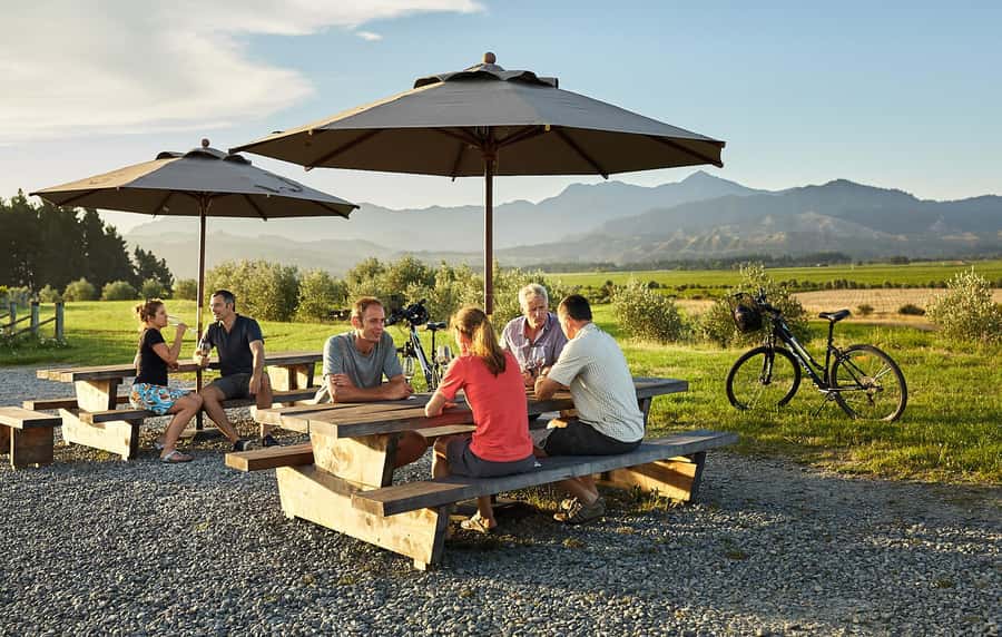 Marlborough: Full-Day Self-Guided Biking Wine Tour - Starting near Renwick with a map, bike, and plan