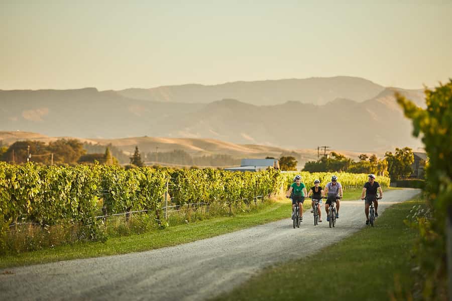 Marlborough: Full-Day Self-Guided Biking Wine Tour - What the riding is really like