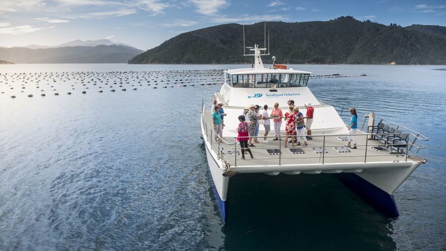 Marlborough: Full-Day Wine and Seafood Tour with Cruise - What the guides add to the day
