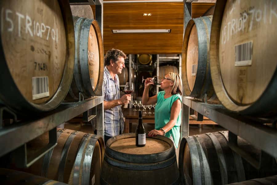 Marlborough: Full-Day Wine and Seafood Tour with Cruise - FAQ