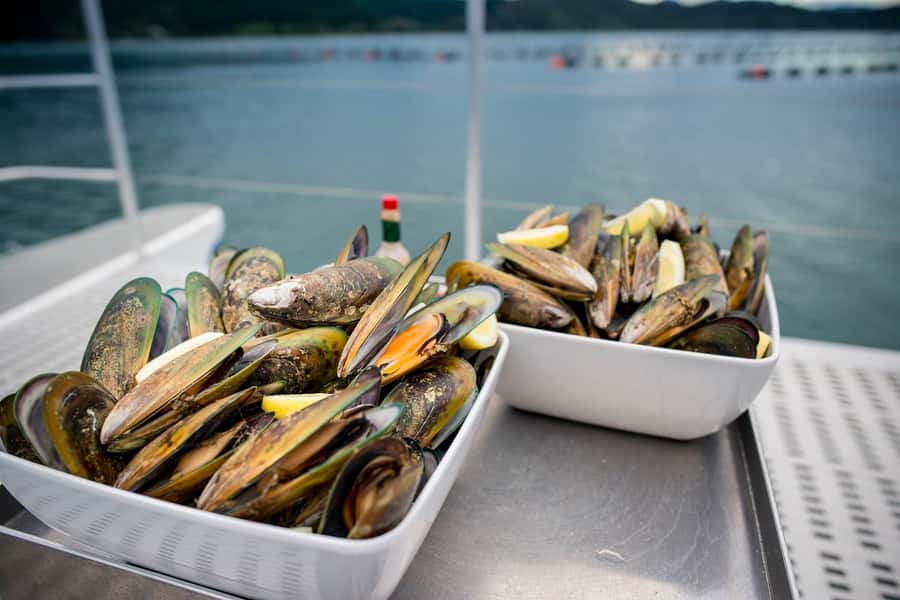 Marlborough: Full-Day Wine and Seafood Tour with Cruise - Three hours aboard the Seafood Odyssea