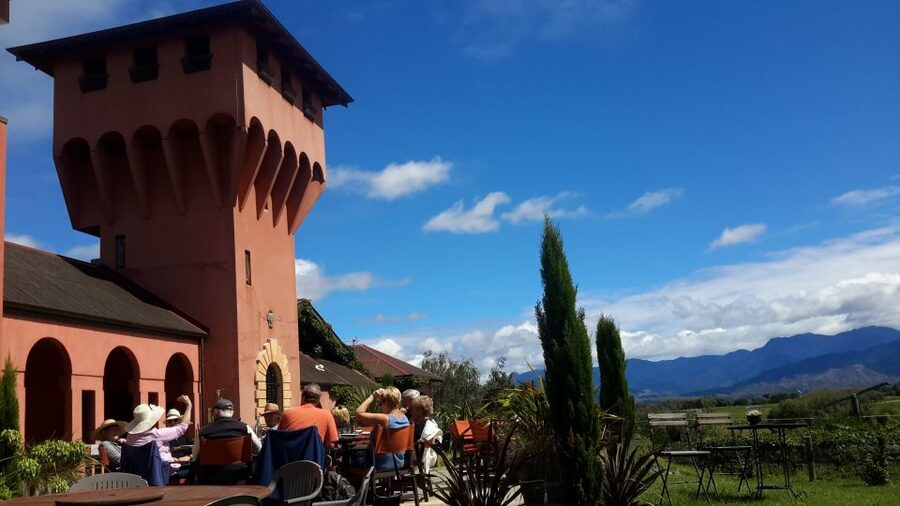 Marlborough Full Day Wine Tour - How much wine knowledge do you need?