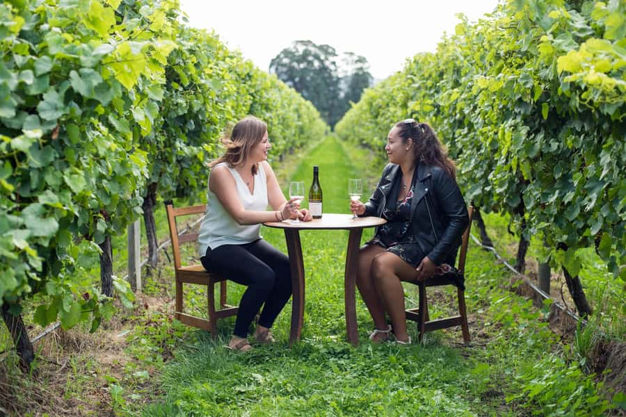 Marlborough Half Day Wine Tour From Blenheim 1.30pm - Key points at a glance