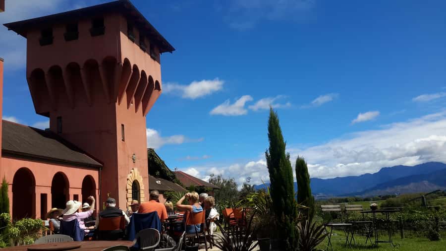 Marlborough Half-Day Wine Tour from Blenheim - The vineyard walk and Marlborough’s growing conditions