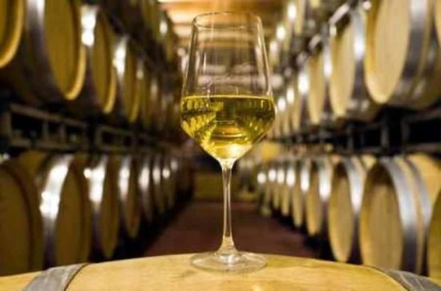 Marlborough Half-Day Wine Tour from Blenheim - Lunch at a cellar door, with the bill kept separate