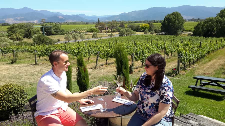 Marlborough Half-Day Wine Tour from Blenheim - Value at NZ$125 per person