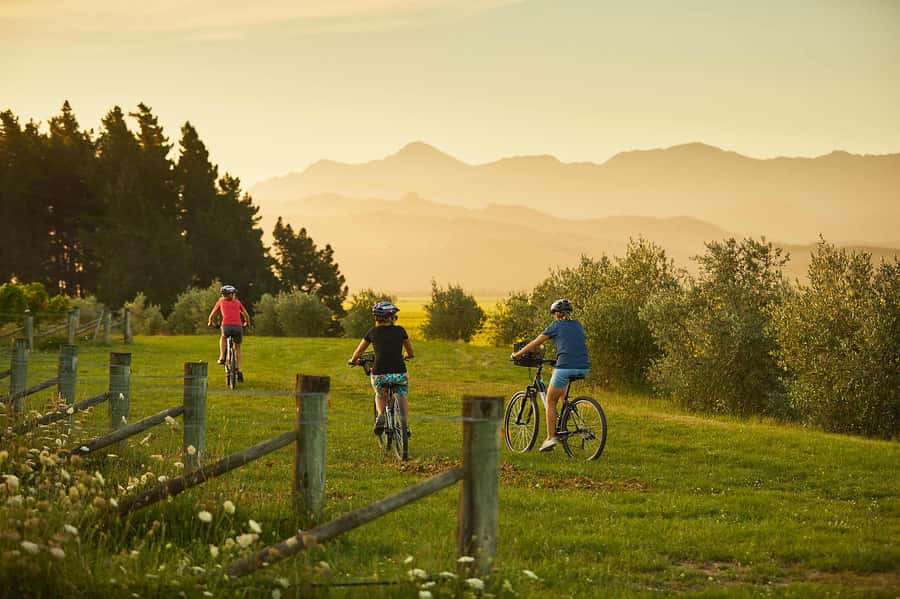 Marlborough: Half Guided and Half Self-Guided Bike Wine Tour - Why this two-part bike tour works
