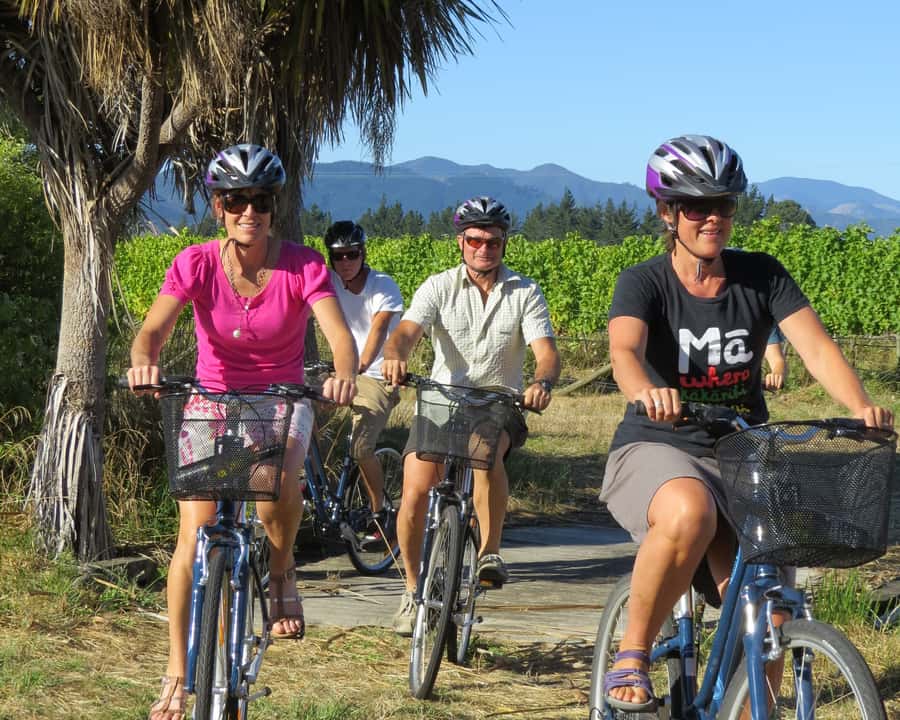 Marlborough: Half Guided and Half Self-Guided Bike Wine Tour - Morning riding through Marlborough’s vineyards