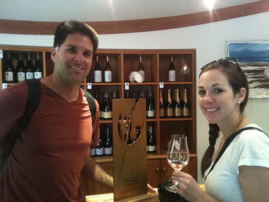 Marlborough: Half Guided and Half Self-Guided Bike Wine Tour - What the $110 price really includes