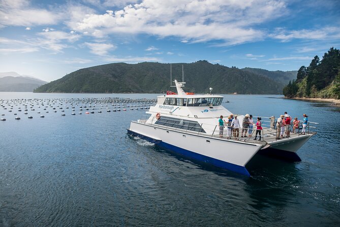 Marlborough Icons Tour - Wine tasting + Cruise - What the $198.58 price covers