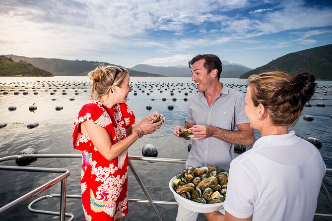 Marlborough Icons Tour - Wine tasting + Cruise - Who should book this day out