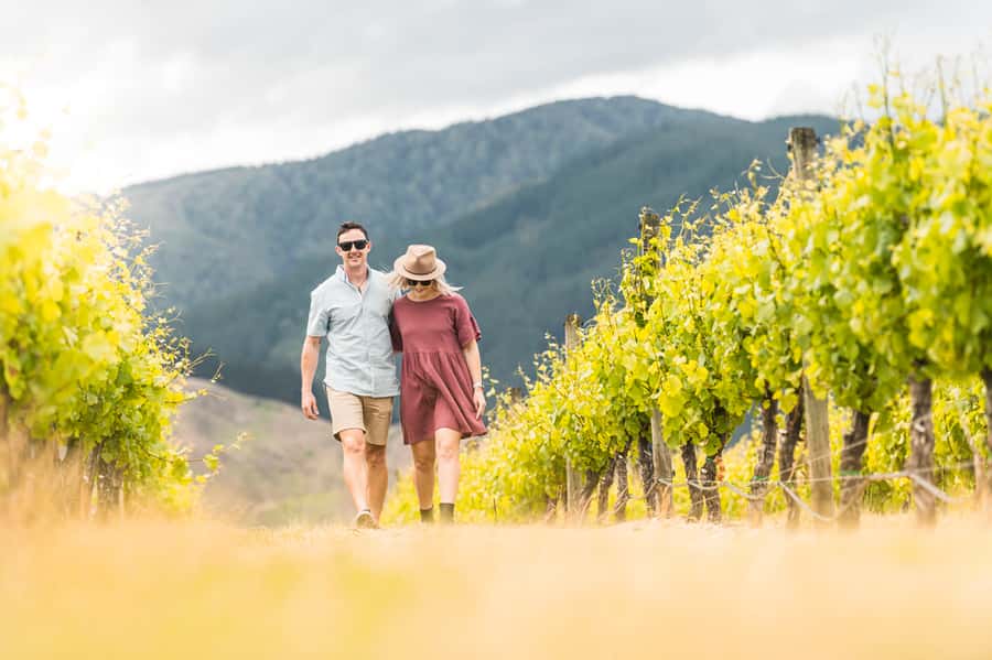Marlborough: Wineries Visit and Tasting Session - Key points to know before you book
