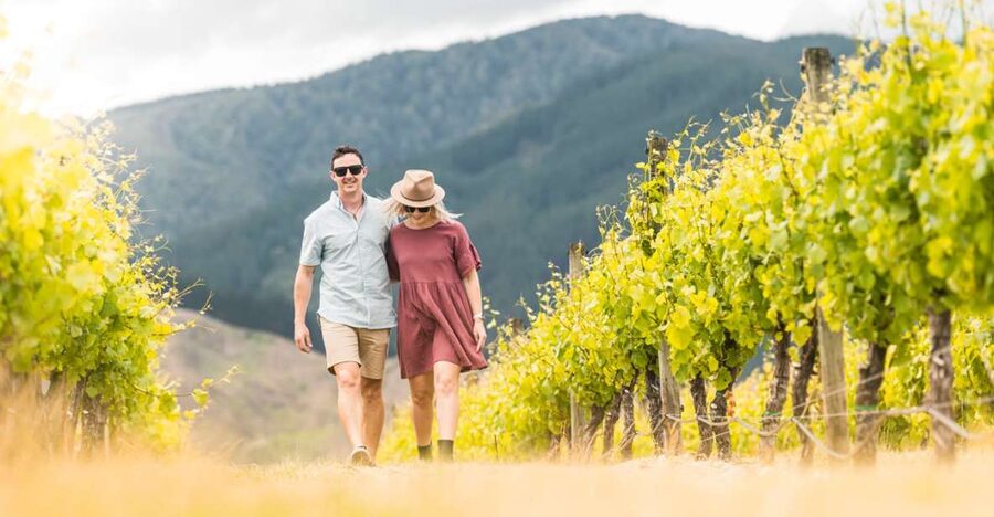 Marlborough: Wineries Visit and Tasting Session - Who should book this Marlborough wine tour?