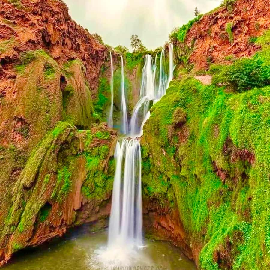 Marrakech: Ouzoud Waterfall, Guided Hike, Boat Ride & Lunch - Reaching Ouzoud Waterfalls on foot