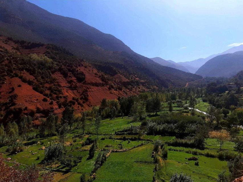 Marrakech: Ouzoud Waterfall, Guided Hike, Boat Ride & Lunch - Monkey spotting along the mountain paths