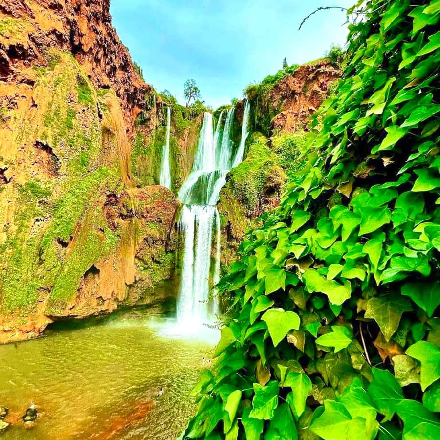 Marrakech: Ouzoud Waterfall, Guided Hike, Boat Ride & Lunch - Who will enjoy this day most