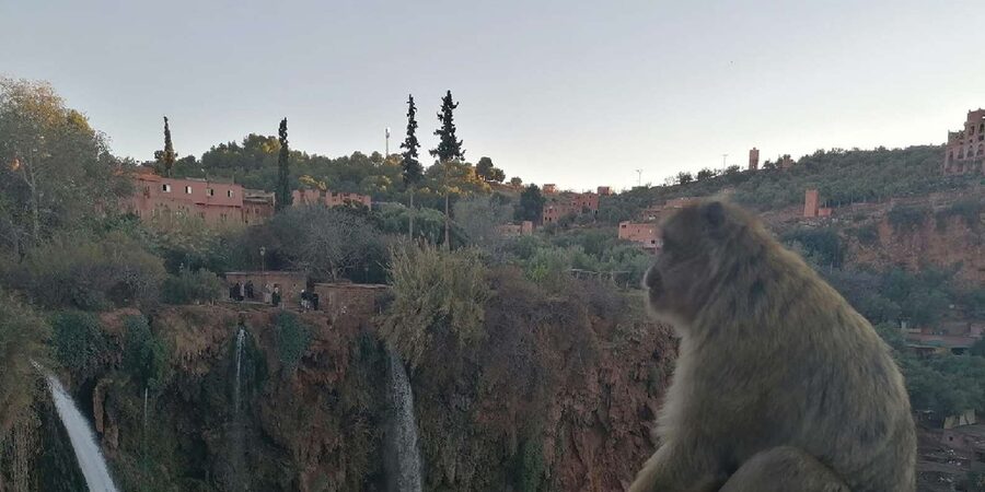 Marrakech to Ouzoud waterfalls day tour - Guide & boat ride - What to Bring and How to Prepare