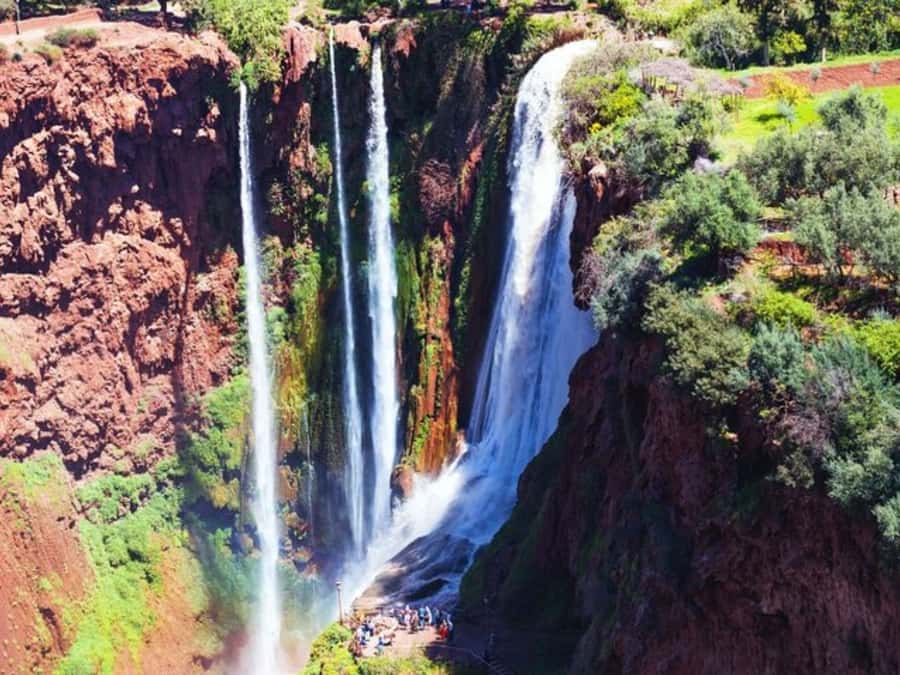 Marrakesh: Ouzoud Waterfalls Trip with Hike & Boat Option - The monkeys and the photo stop