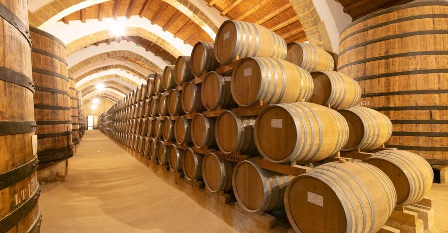 Marsala: Florio Winery Tour with Food-Paired Wine Tastings - The Florio family story adds a human thread