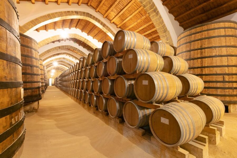 Marsala: Florio Winery Tour with Local Wine Tasting - What you see during the 1.5-hour route