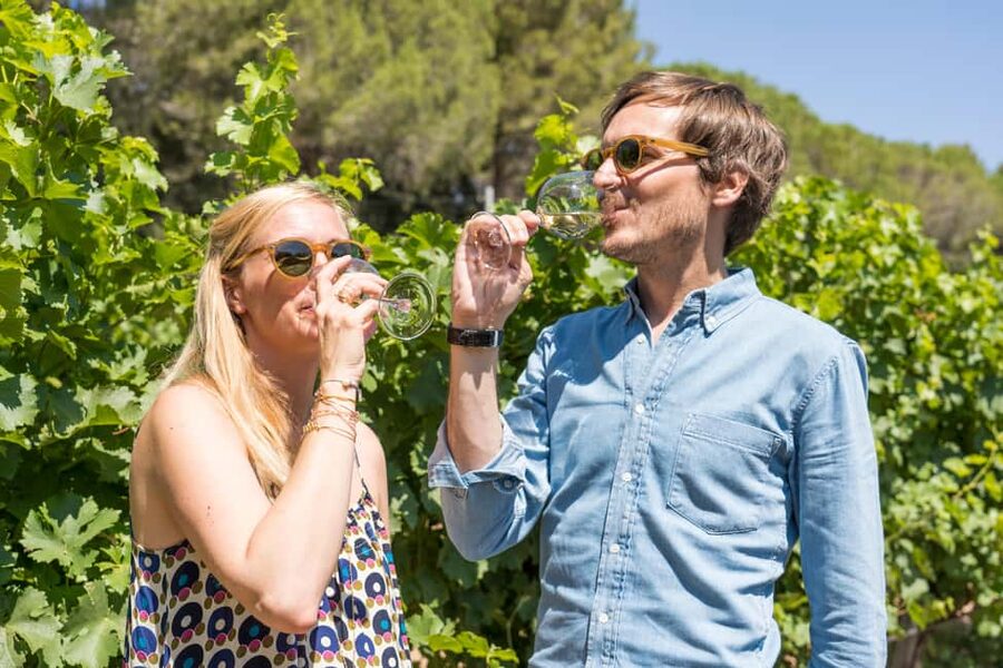 Marseille: Highlights & Wine Tasting Day Tour - Key points at a glance