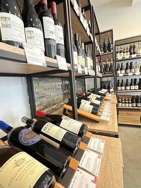 Marseille: Tailored Wine Tasting Experience in Top Wine Shop - How the one-hour tasting unfolds